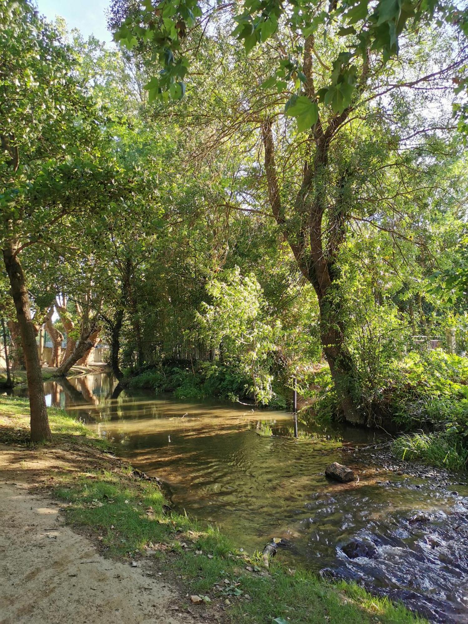 Le Petit Chai Niche Sous La Cite, Καρκασόν Εξωτερικό φωτογραφία